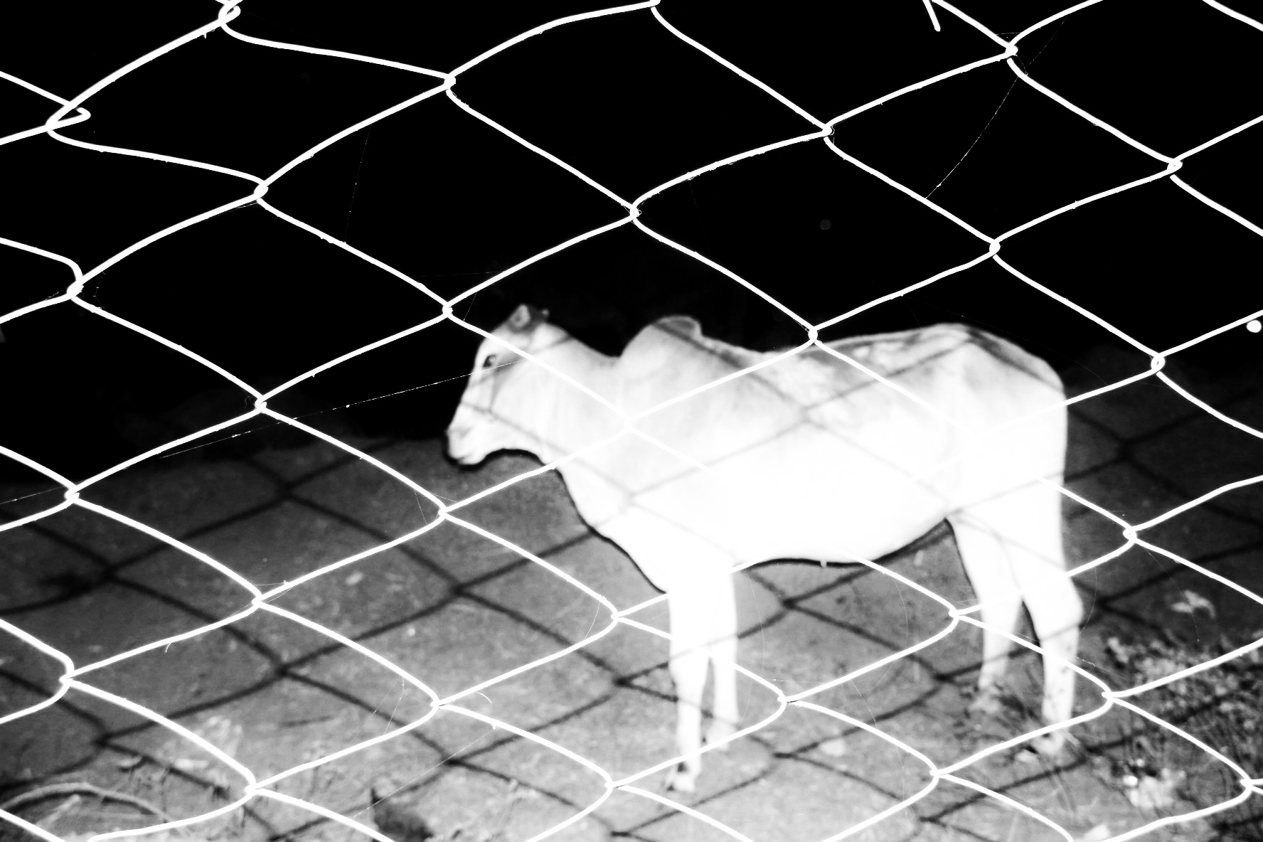 Street Photography Black & White 8